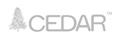 CEDAR Cervical Reconstruction System
